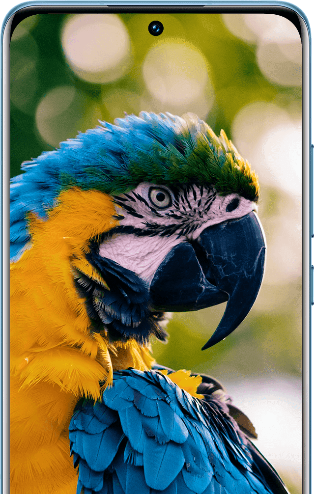 Xiaomi 12X Xiaomi 12X
