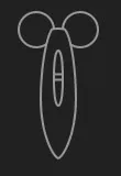 1 1