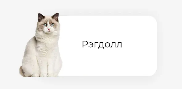 1 2