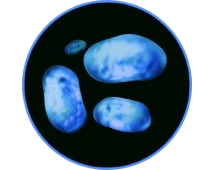 1 2