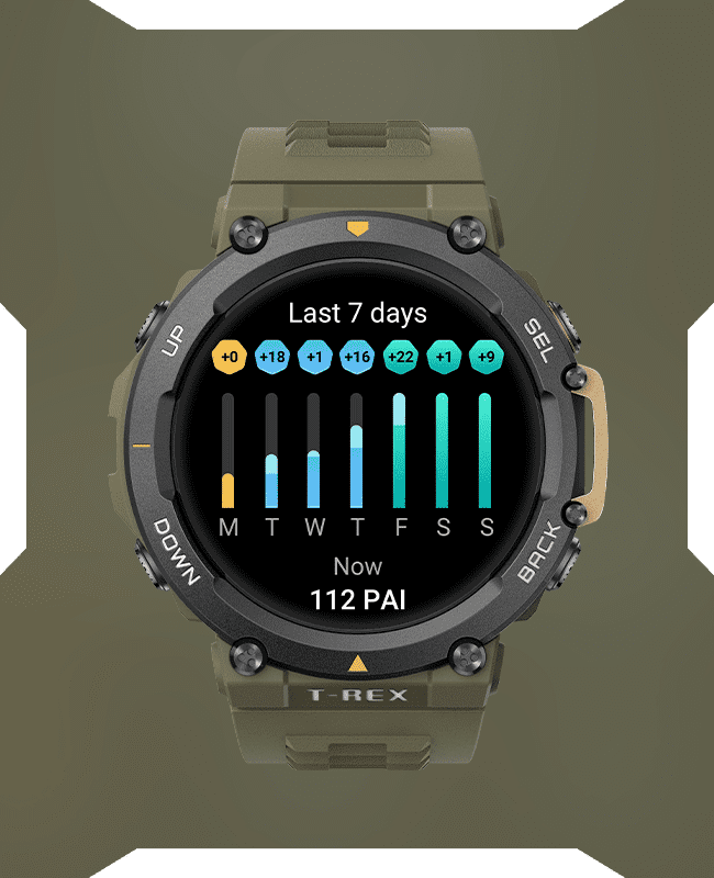 Amazfit T-Rex 2