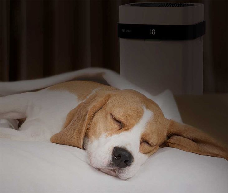 Pet Air Purifier X3