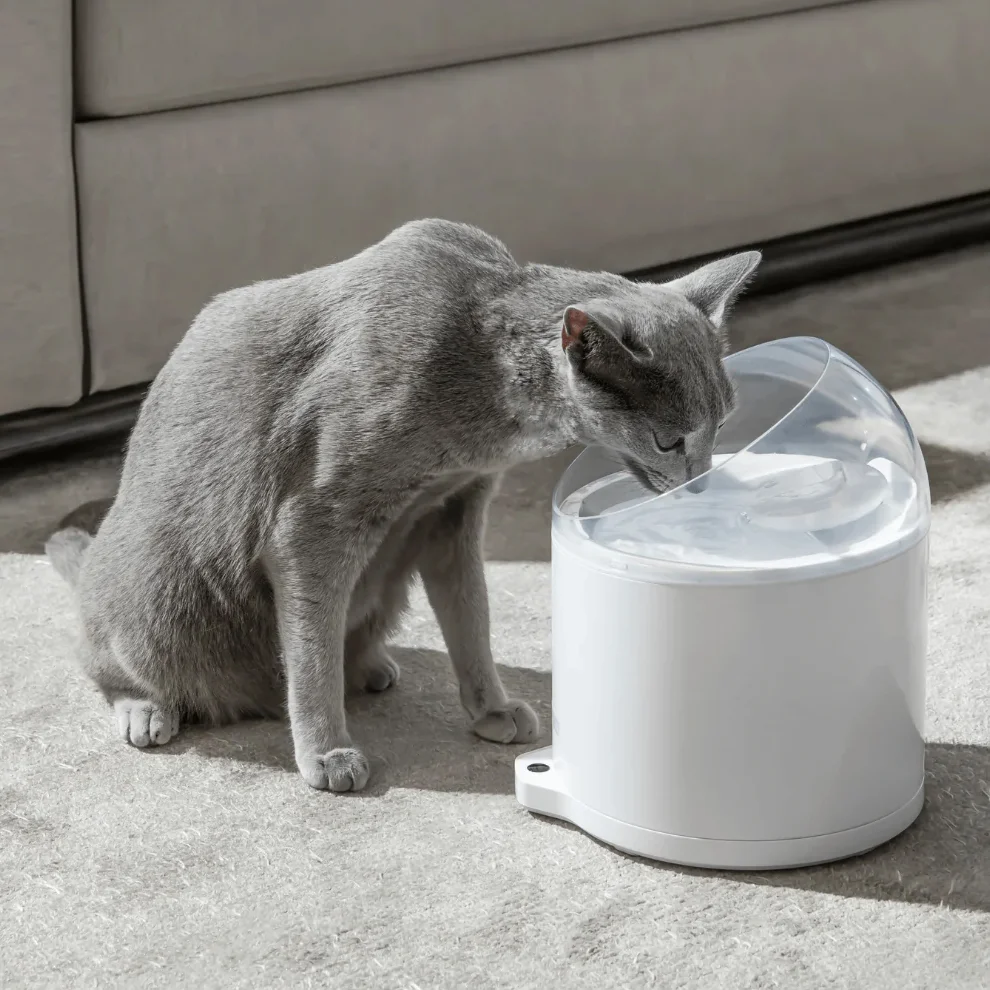 CatLink AI Water Fountain Pure 2