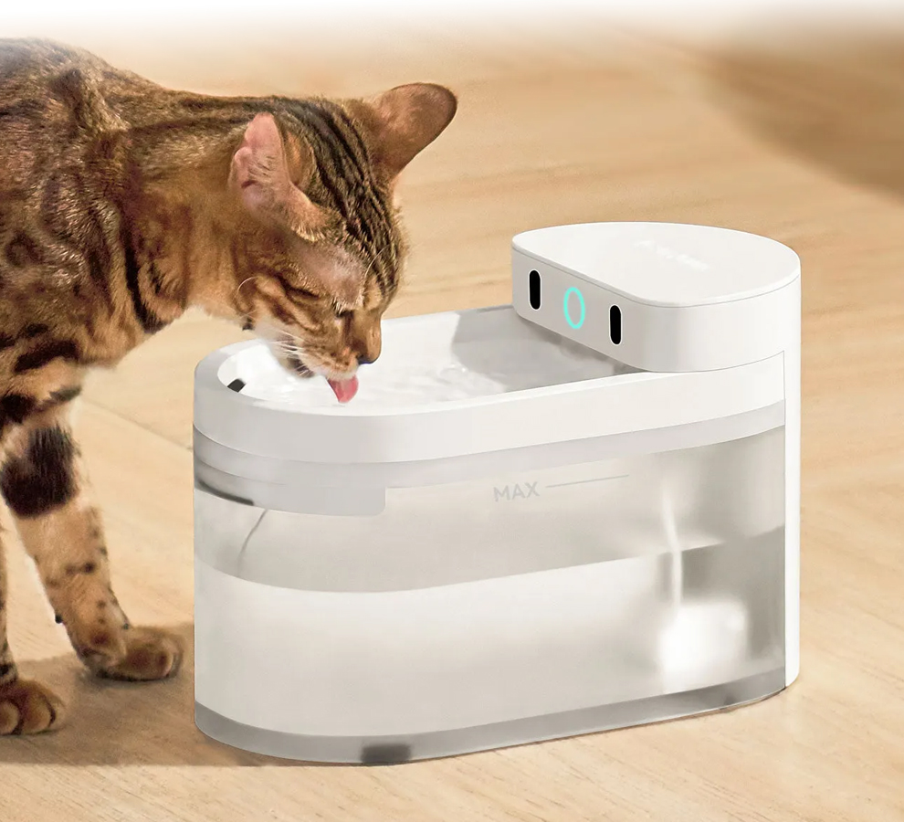 AI Water Fountain