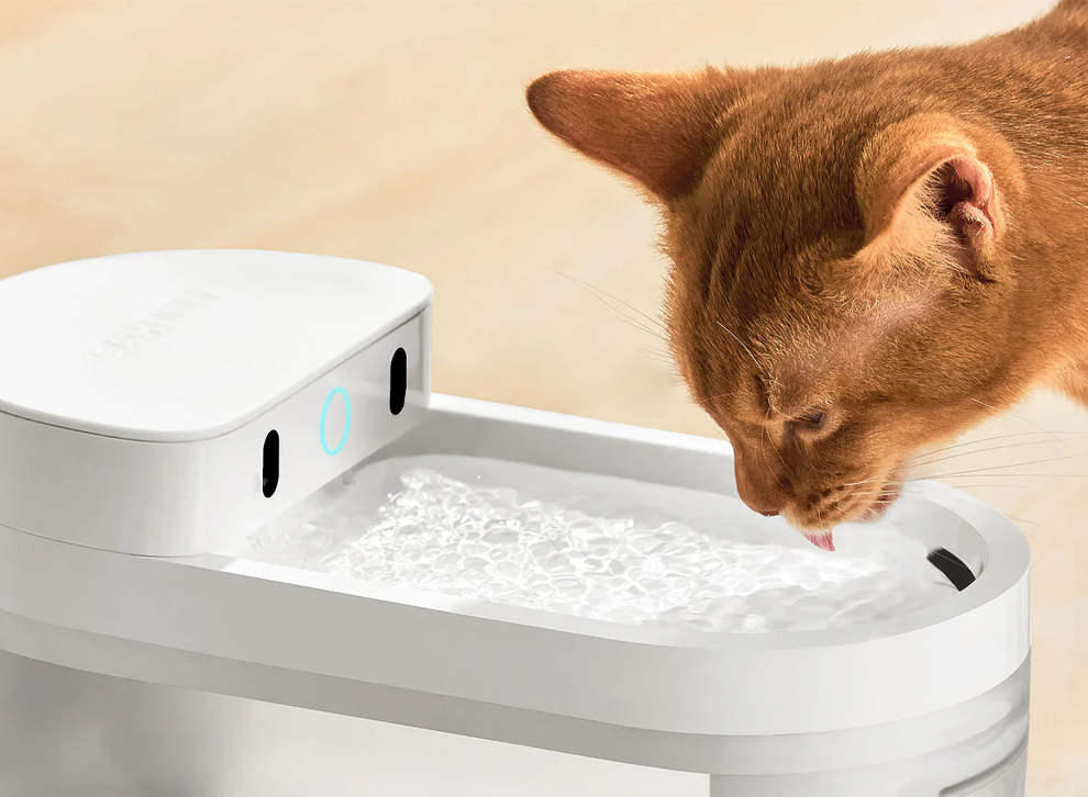 AI Water Fountain