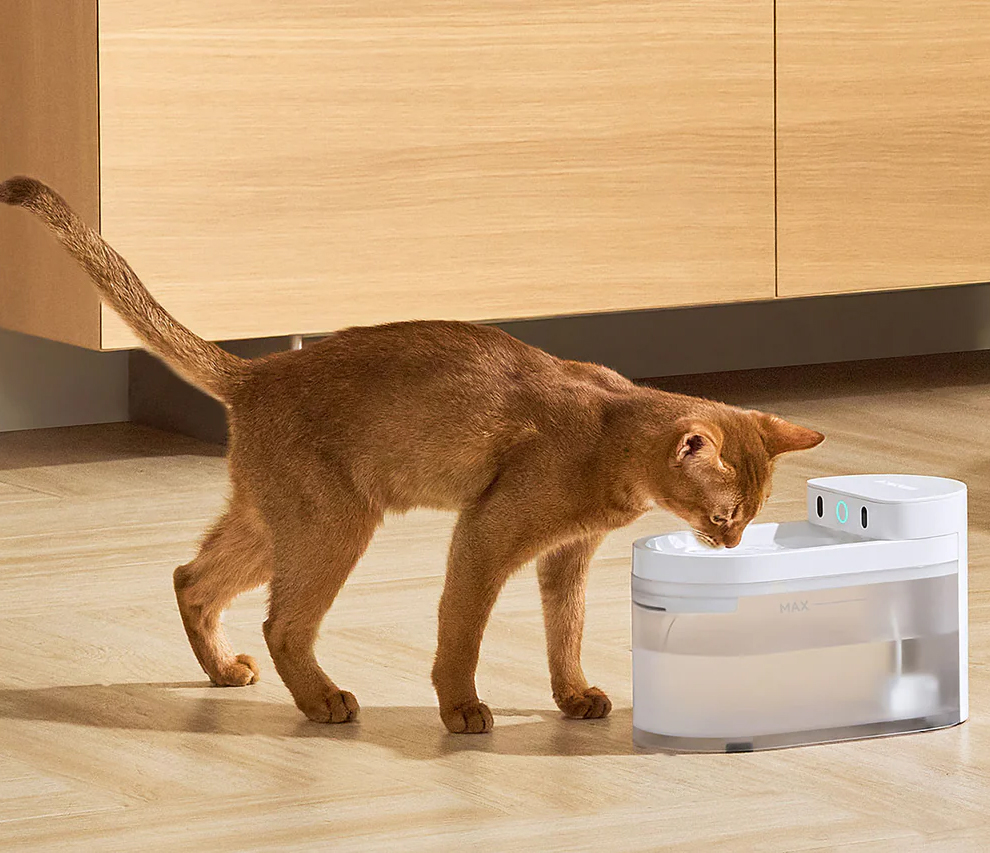 AI Water Fountain