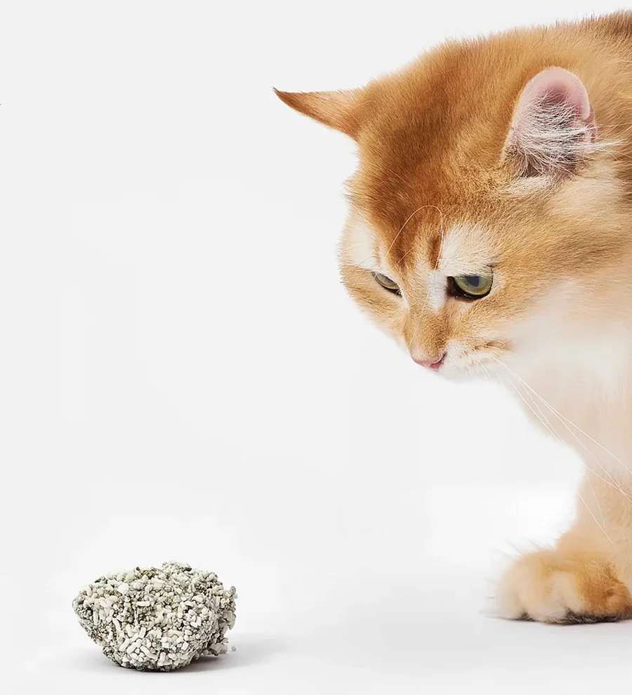 CatLink Cassava Mixed Cat Litter