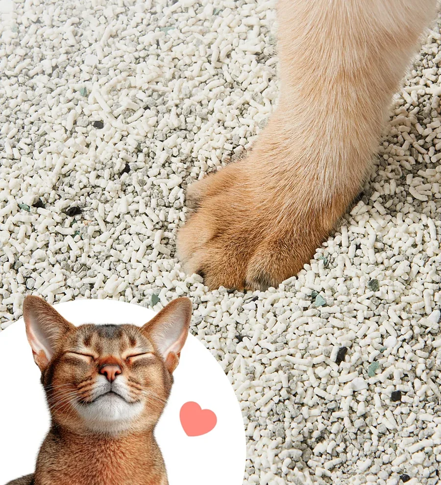 CatLink Cassava Mixed Cat Litter