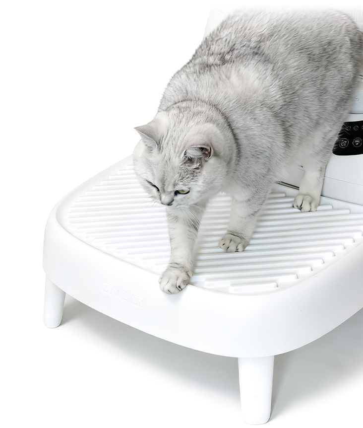 CatLink Open-X stairway