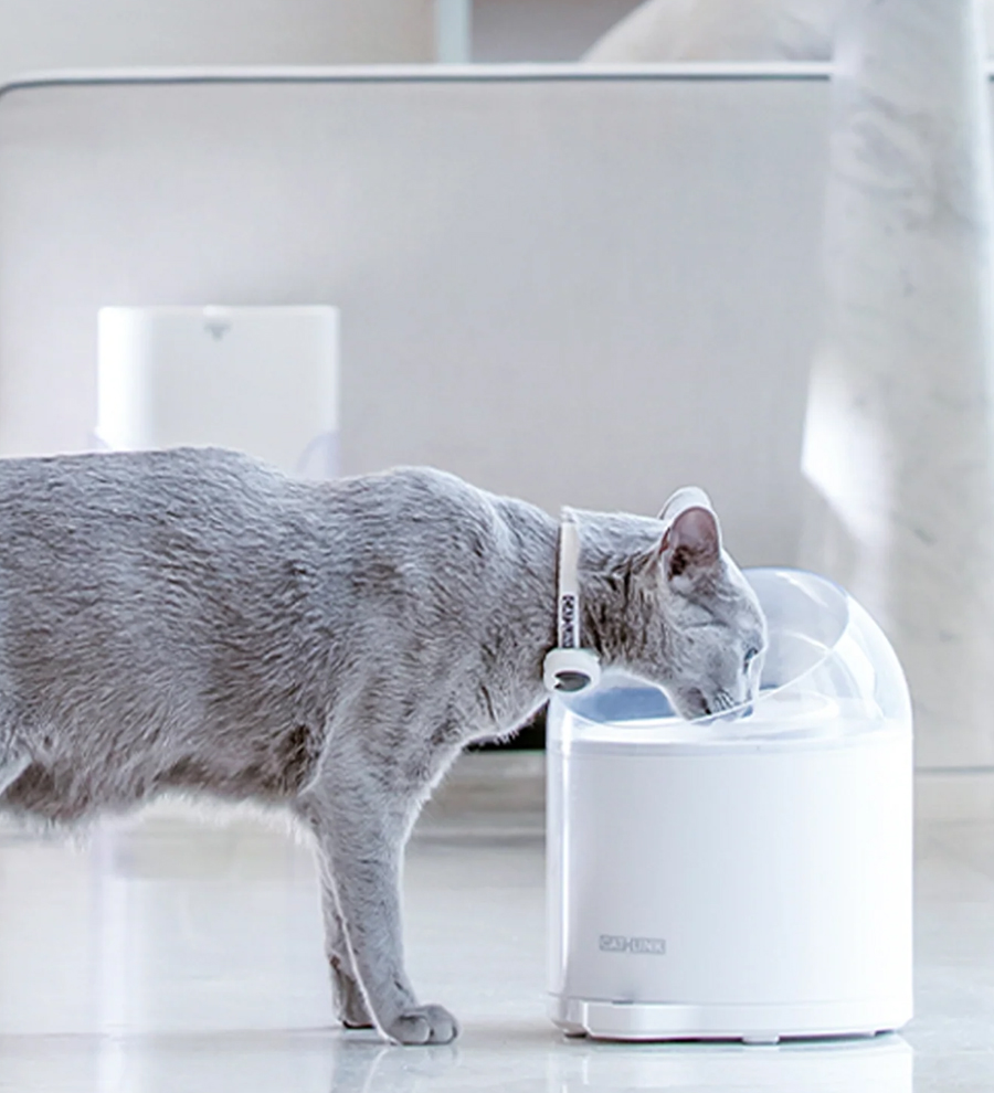 CatLink Pure 2 Filter