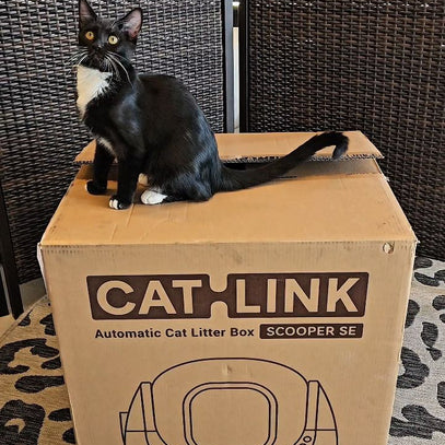 CatLink Scoop Robot Pro