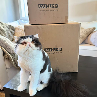 CatLink Scoop Robot Pro