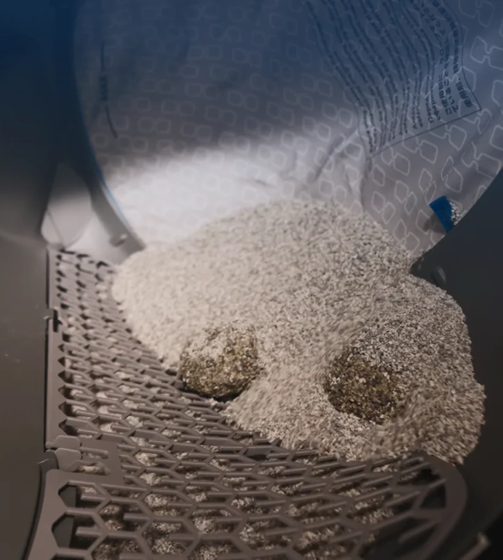 CatLink Scoop Robot Pro