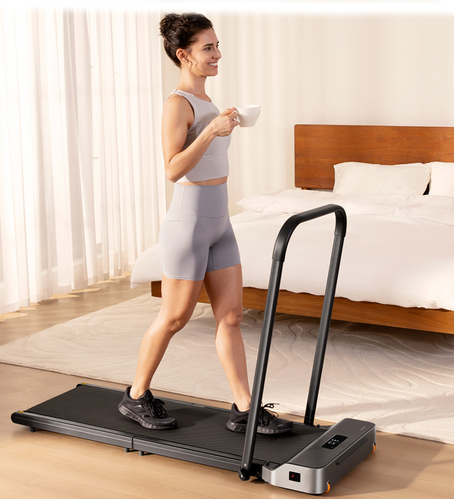 King Smith WalkingPad Z1P
