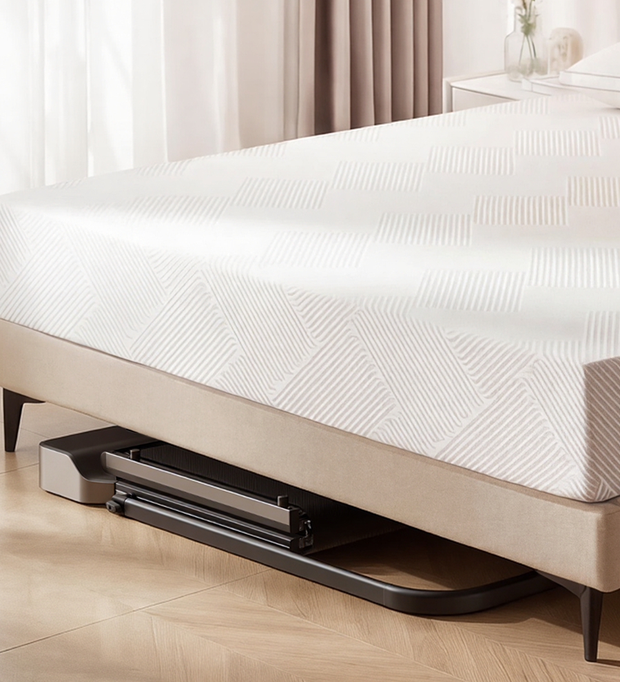 King Smith WalkingPad Z1P