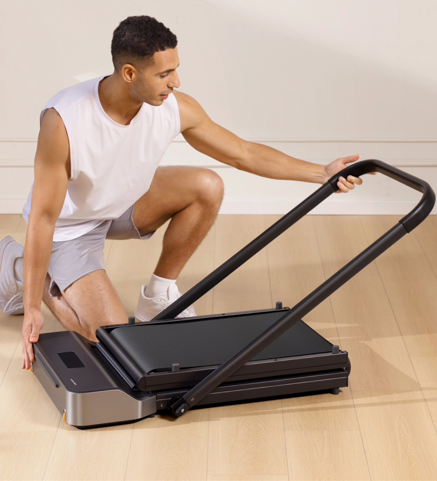 King Smith WalkingPad Z1P