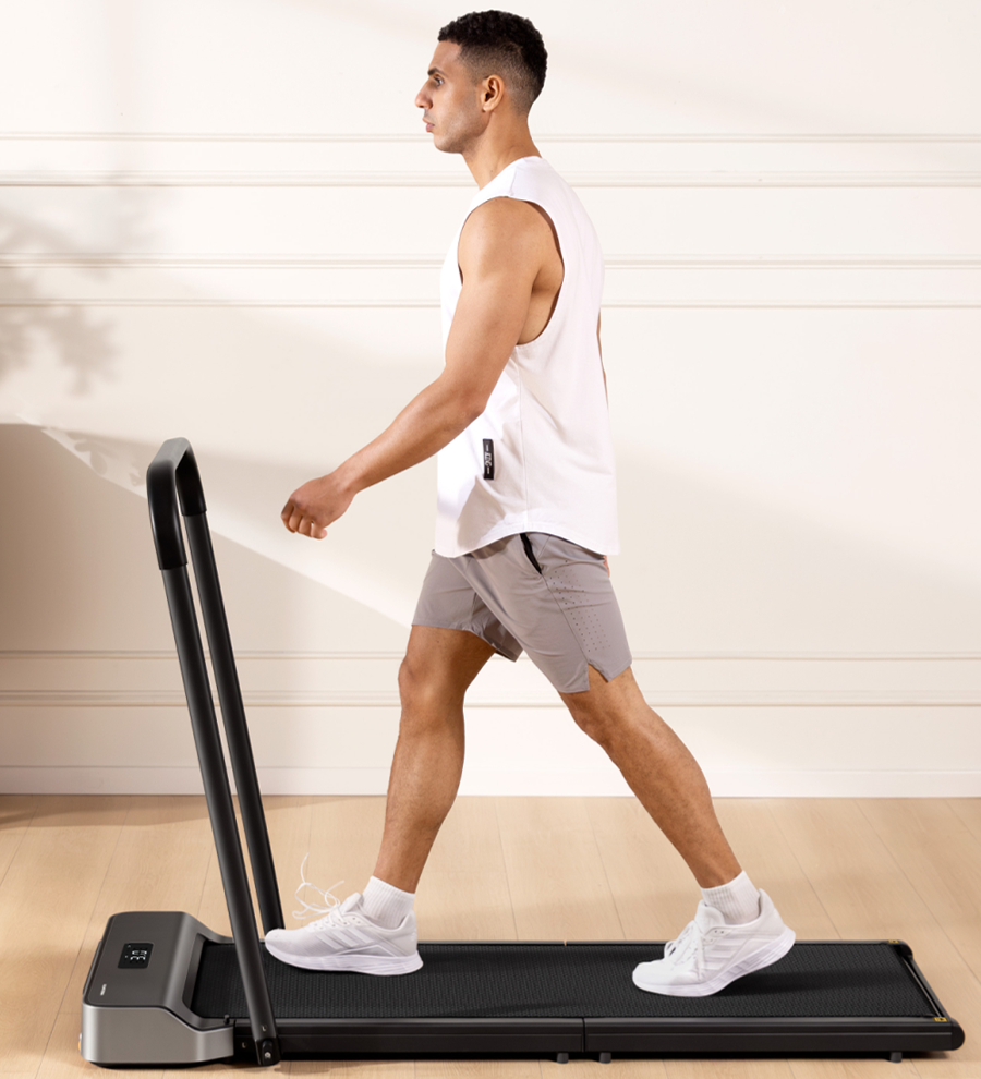 King Smith WalkingPad Z1P
