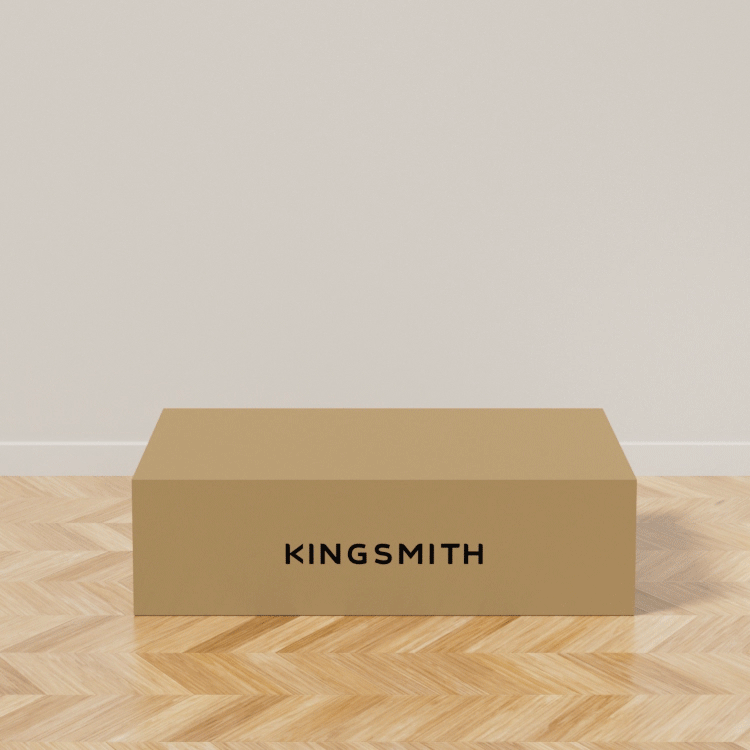 King Smith WalkingPad Z1P