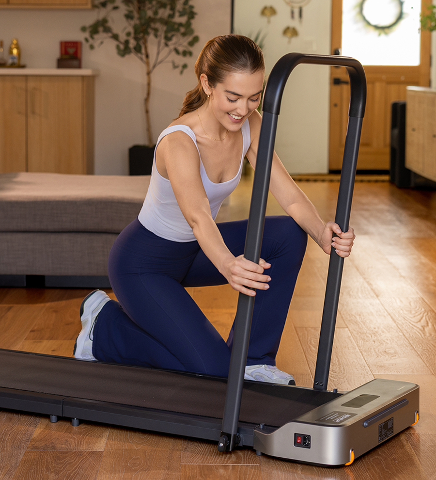 King Smith WalkingPad Z1P