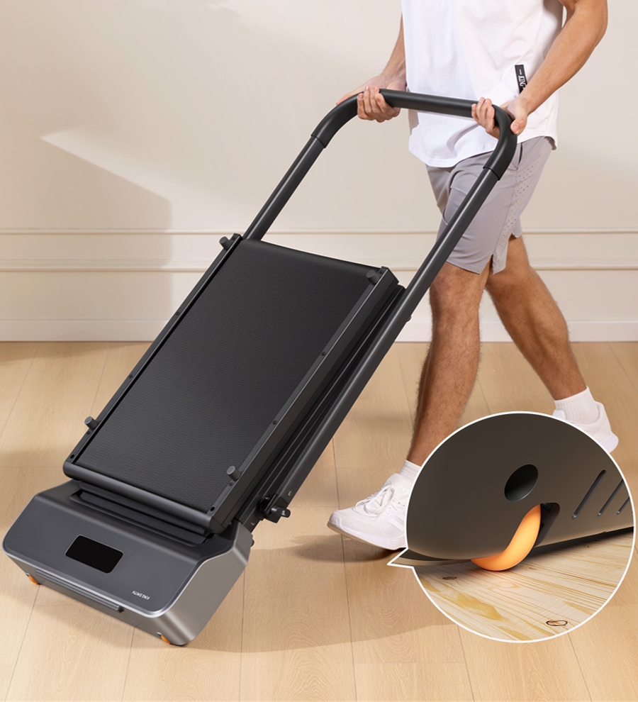 King Smith WalkingPad Z1P