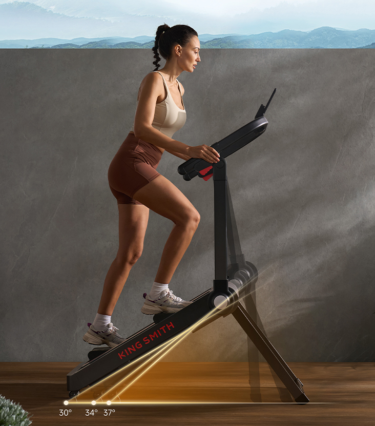 KingSmith StairGO Stepper