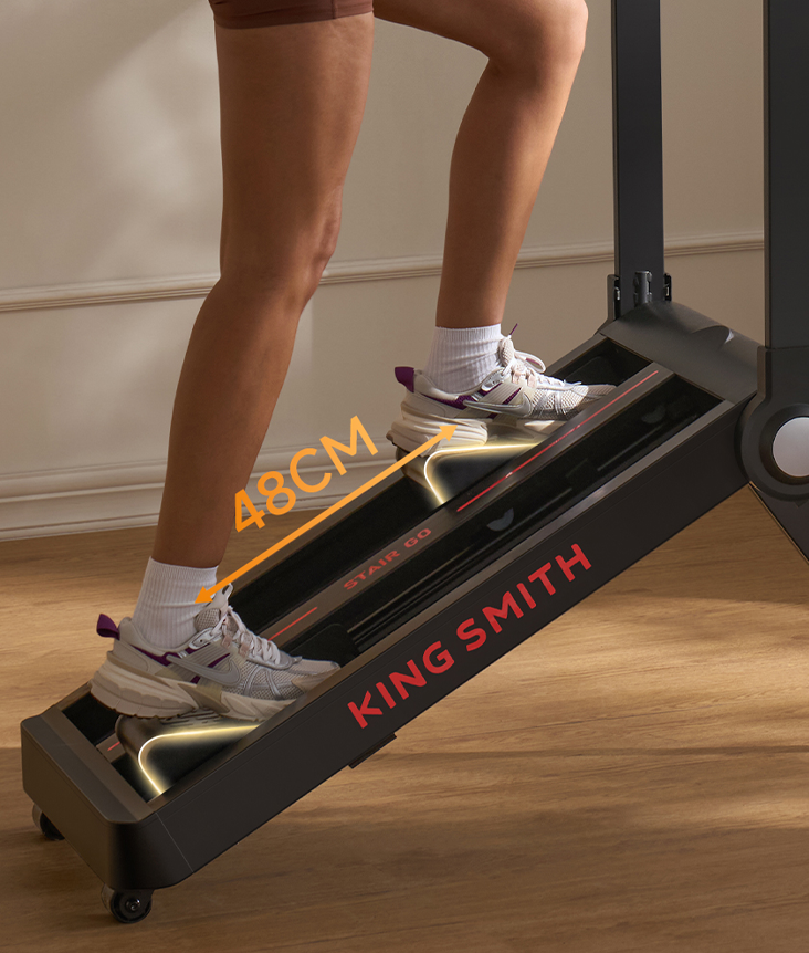 KingSmith StairGO Stepper
