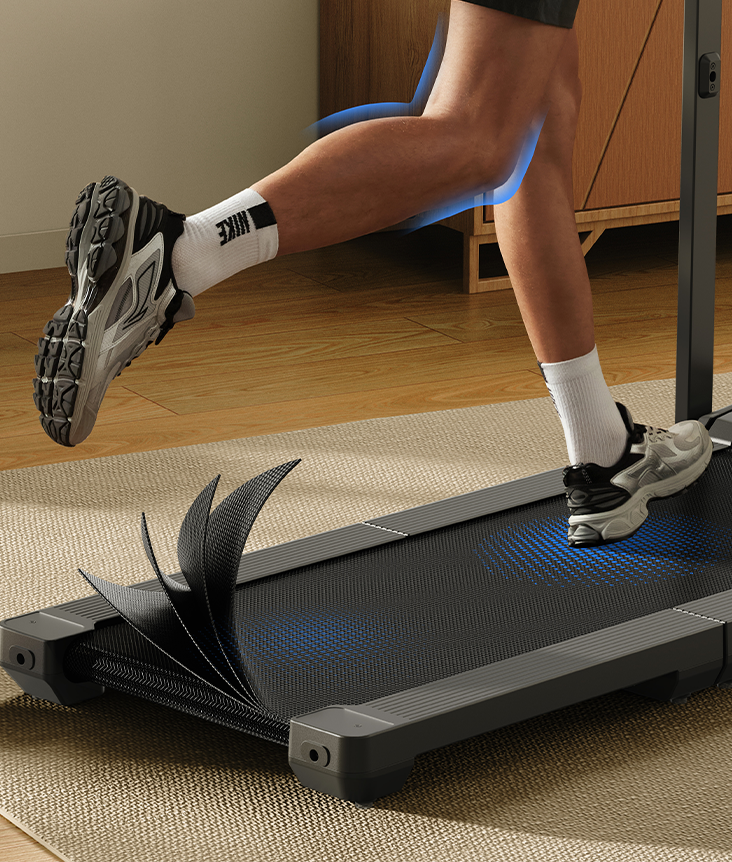 KingSmith WalkingPad MX10 KingSmith WalkingPad MX10