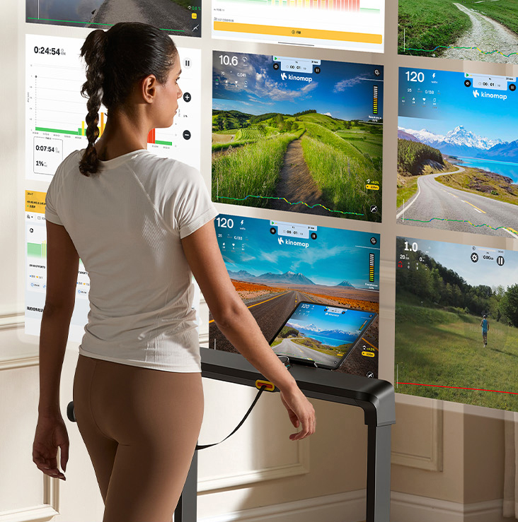 KingSmith WalkingPad MX8 KingSmith WalkingPad MX8