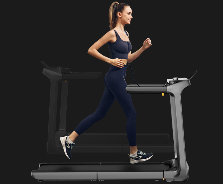 KingSmith WalkingPad X218