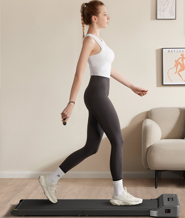 KingSmith WalkingPad Z1