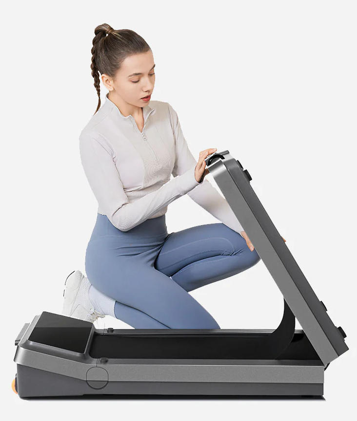 KingSmith WalkingPad Z3