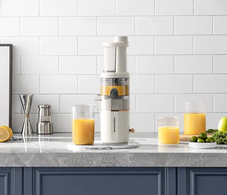 Morphy Richards Juicer