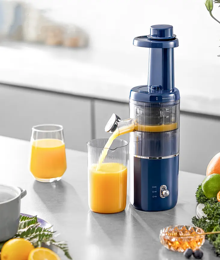 Morphy Richards Juicer