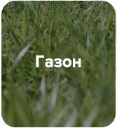 NinetyGo Alps Suitcase 20(S) NinetyGo Alps Suitcase 20(S)