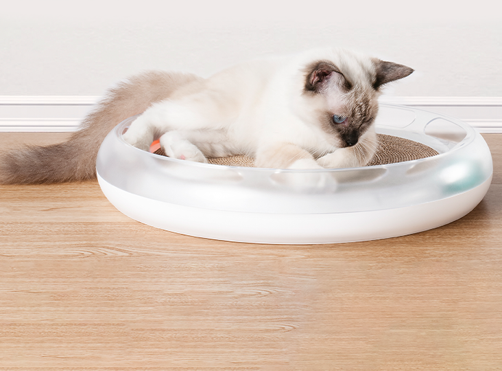 PetKit Fun 4&nbsp;in&nbsp;1