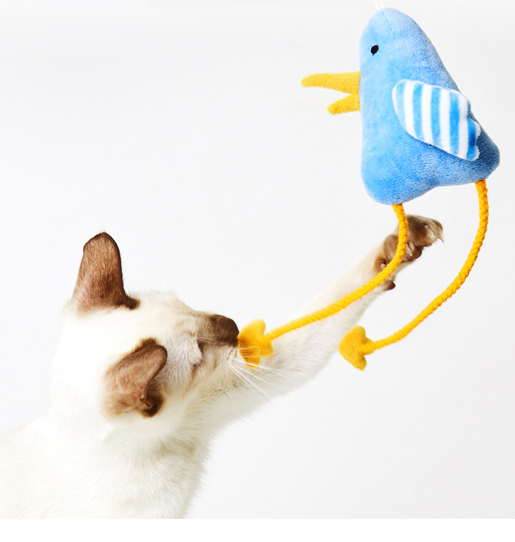PetKit Jungle Party