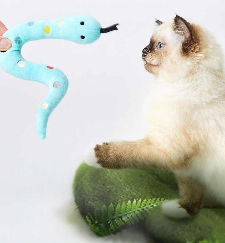 PetKit Jungle Party