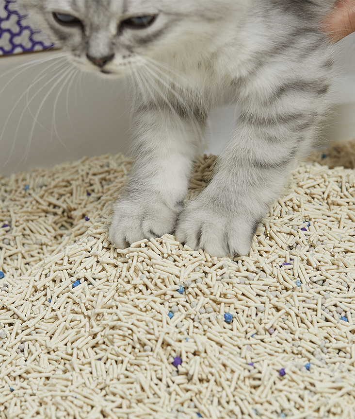 PetKit Mixed Cat Litter PetKit Mixed Cat Litter