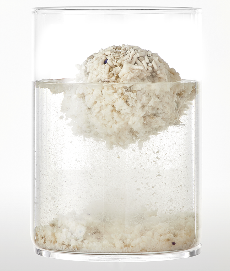 PetKit Mixed Cat Litter PetKit Mixed Cat Litter