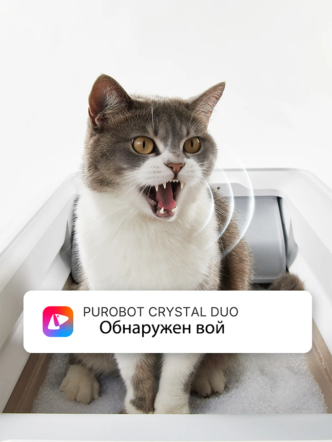 PetKit Purobot Crystal Duo