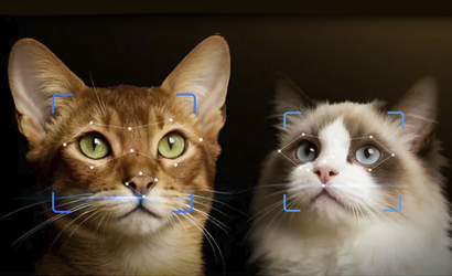 PetKit YumShare Dual-Hopper 2 PetKit YumShare Dual-Hopper 2