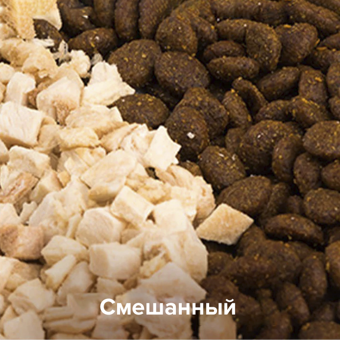 PetKit YumShare Dual-Hopper 2 PetKit YumShare Dual-Hopper 2