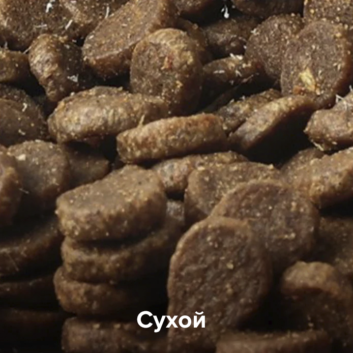 PetKit YumShare Dual-Hopper 2 PetKit YumShare Dual-Hopper 2