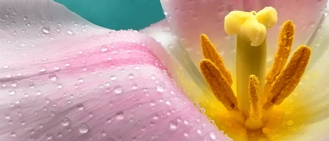 Redmi Note 12 5G