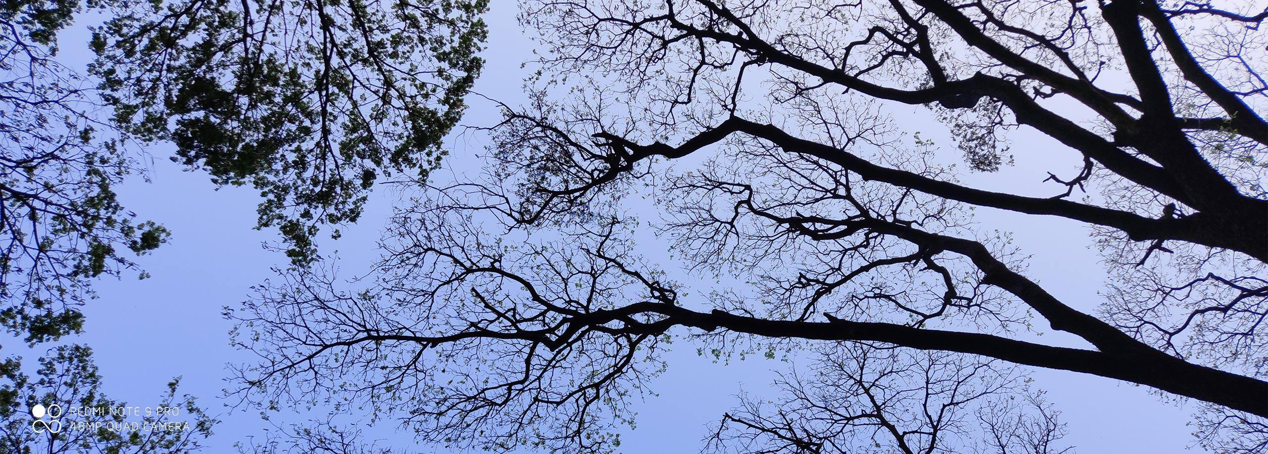 Xiaomi Redmi Note 9S