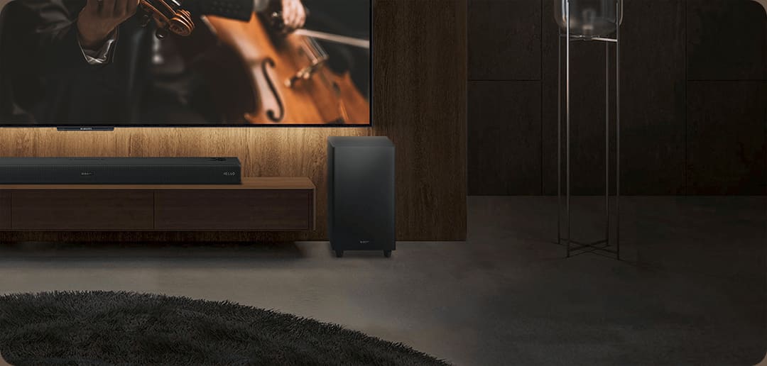 Speaker 3.1 Speaker 3.1