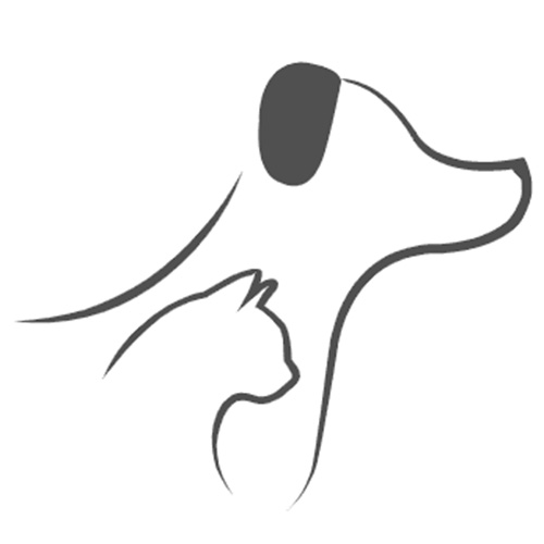 Товары для дома
