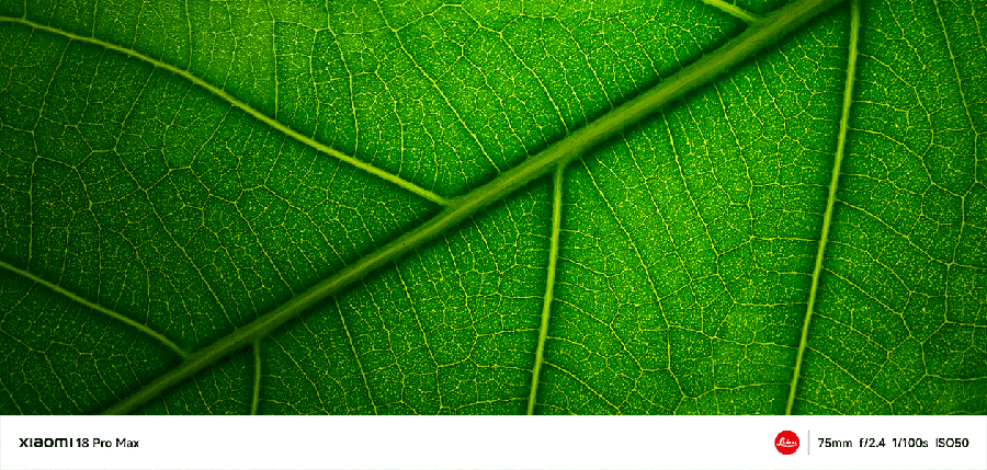 Xiaomi 18 Pro Max