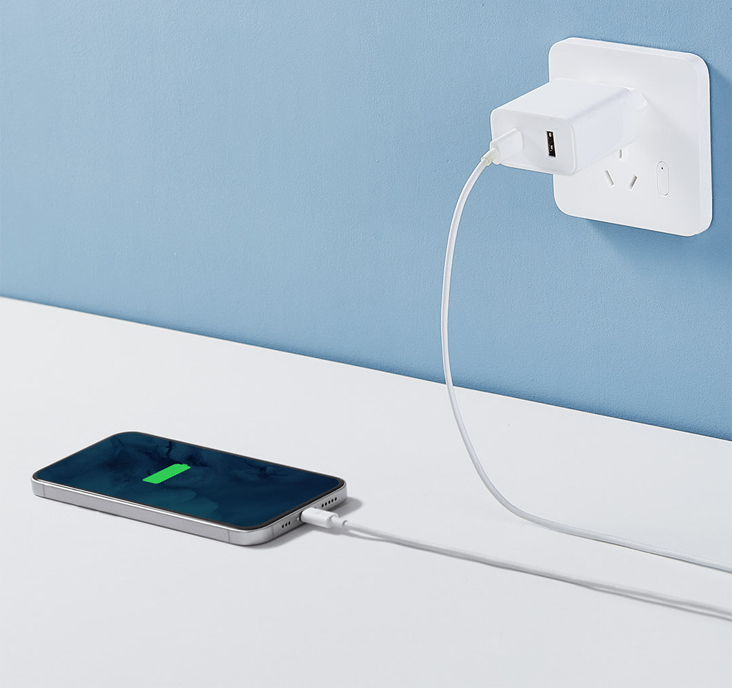 Xiaomi 33W Wall Charger