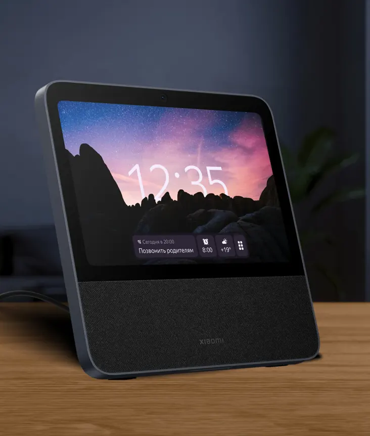 Xiaomi Display & Alisa Xiaomi Display & Alisa